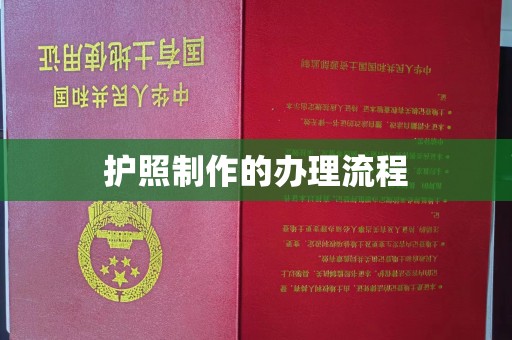庆阳护照制作的办理流程